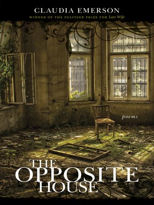 cover image of The Opposite House